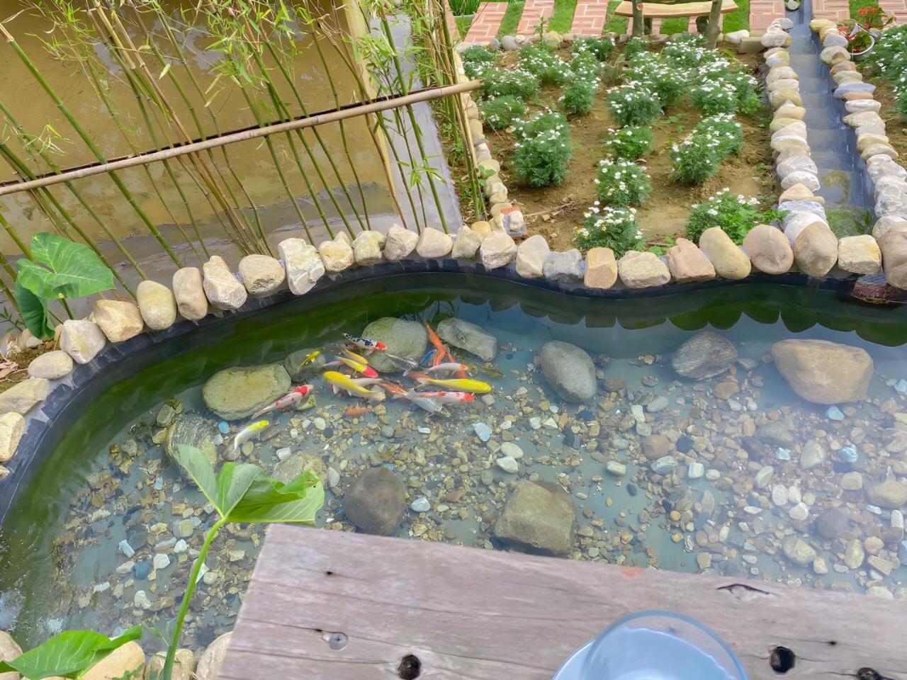 Sapa Farmer House 외부 사진